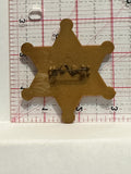 Sheriff Mike Amico Star Button Pinback