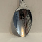 Waterton Park Bear Collectable Souvenir Spoon AC