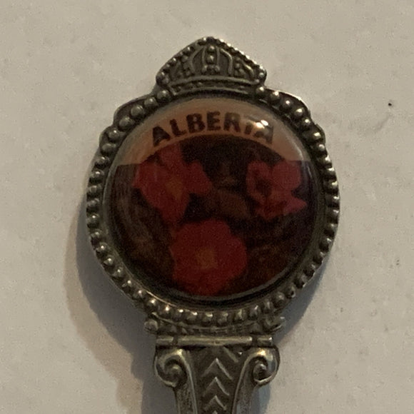 Hanna Alberta Canada Goose Wild Rose Collectable Souvenir Spoon AD