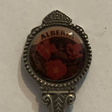 Hanna Alberta Canada Goose Wild Rose Collectable Souvenir Spoon AD