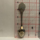 Hanna Alberta Canada Goose Wild Rose Collectable Souvenir Spoon AD