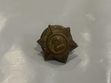 2 Medal Award Lapel Hat Pin CA