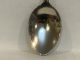 Mississippi River Paddle Boat Collectable Souvenir Spoon EW