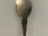 Mississippi River Paddle Boat Collectable Souvenir Spoon EW