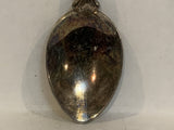 Moncton New Brunswick Puffins Beaver Collectable Souvenir Spoon EX