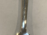 Arizona Cactus Collectable Souvenir Spoon EX