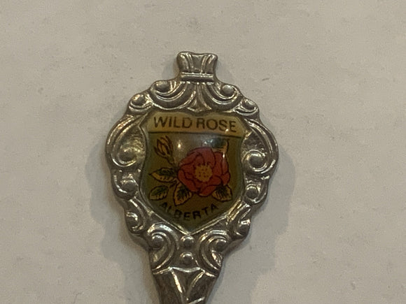 Carstairs Alberta Wild Rose Flower Collectable Souvenir Spoon EX