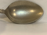 Carstairs Alberta Wild Rose Flower Collectable Souvenir Spoon EX