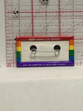Celebrate Diversity Rainbow Button Pinback