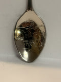 Tallahassee Florida Sail Boat Souvenir Spoon