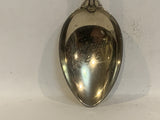 Parliament Building Victoria BC Collectable Souvenir Spoon EY