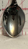 Michigan State Michigan Souvenir Spoon