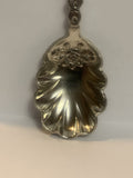 Minnesota Loon Bird  Souvenir Spoon