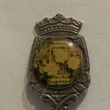 British Columbia Pacific Dogwood Collectable Souvenir Spoon AI