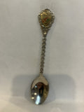 David Thompson Resort Canada Souvenir Spoon