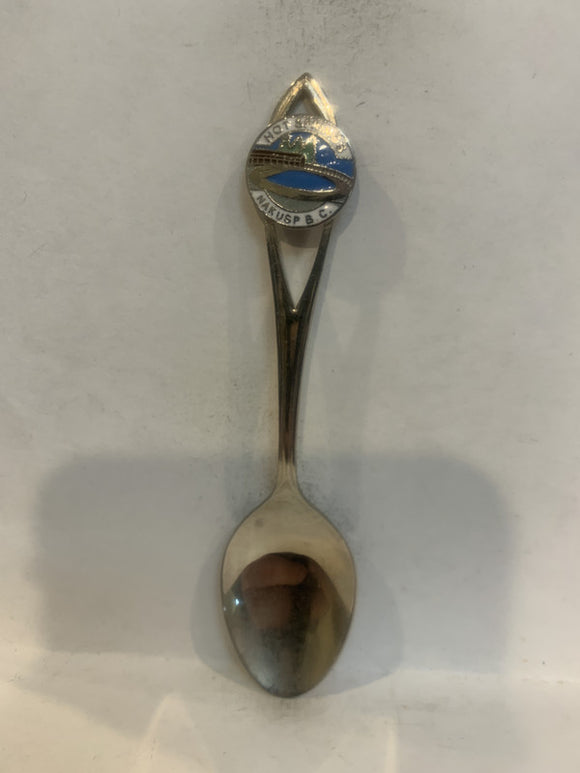 Naskusp BC Hot Springs Souvenir Spoon