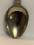 Disneyland Castle Souvenir Spoon