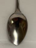 Miette Hot Springs Alberta Souvenir Spoon