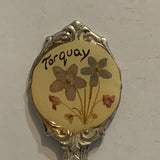Torquay Flowers England Collectable Souvenir Spoon AK