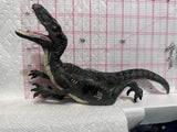 Velociraptor Jurassic World Dinosaur  Toy Dinosaur