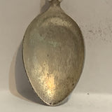 Torquay Flowers England Collectable Souvenir Spoon AK