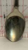 Palm Springs California Desert Souvenir Spoon