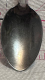 Saco Montana Bison  Souvenir Spoon