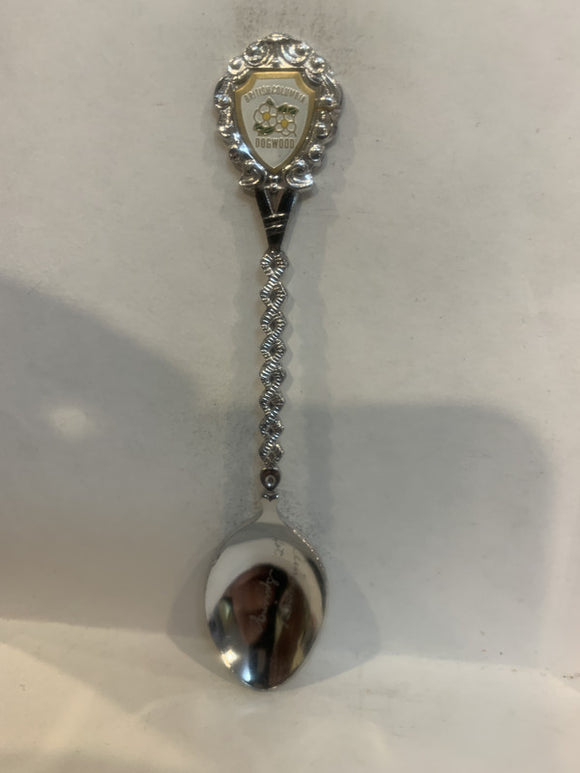 Ainsworth Hot Springs British Columbia Dogwood Flowers Souvenir Spoon