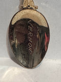 Vernon British Columbia Dogwood Flower British Columbia Souvenir Spoon