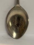 Prince George Beautiful British Columbia  Souvenir Spoon