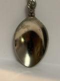 Blue White Town Souvenir Spoon