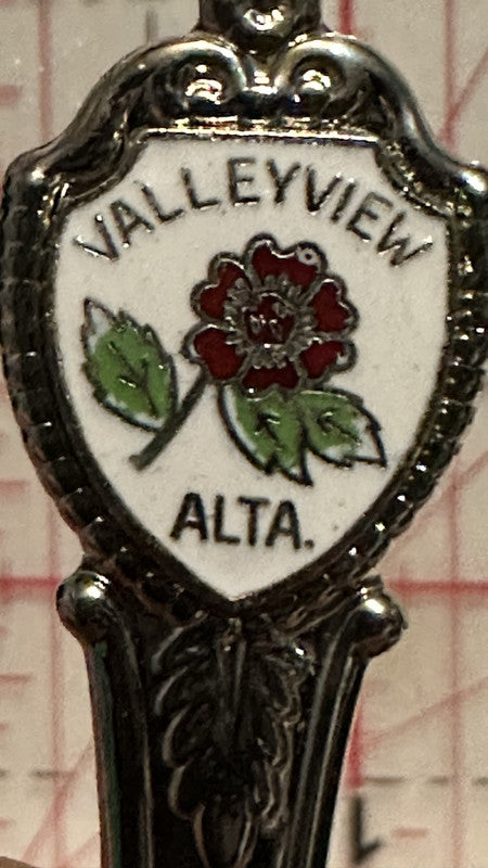 Valleyview Alta Alberta Wild Rose Alberta Souvenir Spoon