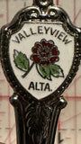 Valleyview Alta Alberta Wild Rose Alberta Souvenir Spoon