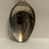 San Diego Zoo Wild Animal Park Collectable Souvenir Spoon AL