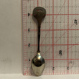 San Diego Zoo Wild Animal Park Collectable Souvenir Spoon AL