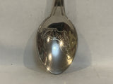 Florida State Flamingo  Collectable Souvenir Spoon NX