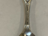 Florida State Flamingo  Collectable Souvenir Spoon NX