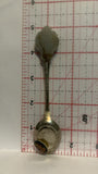 Edmonton Alberta Wild Rose Souvenir Spoon