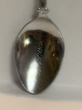 Vancouver British Columbia Canada Fish Souvenir Spoon