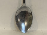New Mexico  Collectable Souvenir Spoon NX