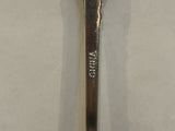 Iowa Native Chief Collectable Souvenir Spoon NY
