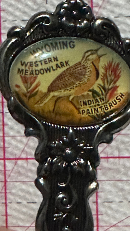 Wyoming Western Meadowlark Indian Paint Brush Silver Plated  Souvenir Spoon