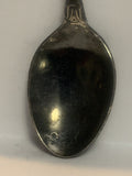 September Michaelmas Daisy Souvenir Spoon
