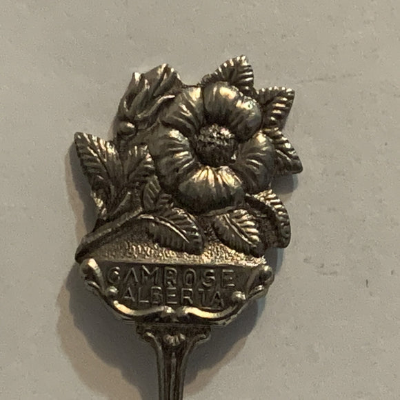 Camrose Alberta Wild Rose Collectable Souvenir Spoon AN