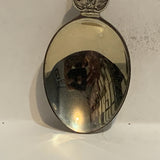 Camrose Alberta Wild Rose Collectable Souvenir Spoon AN