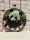 Panda Bear Chinese Writing Button Pinback