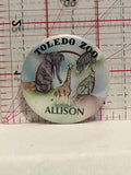 Toledo Zoo Allison Button Pinback