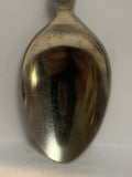 Tantanoola Caves South Australia Souvenir Spoon