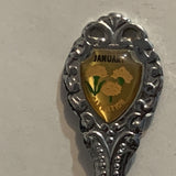 January Carnation Flowers Collectable Souvenir Spoon AP