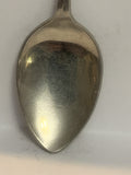 Rocky Mountain Hose Alberta Souvenir Spoon